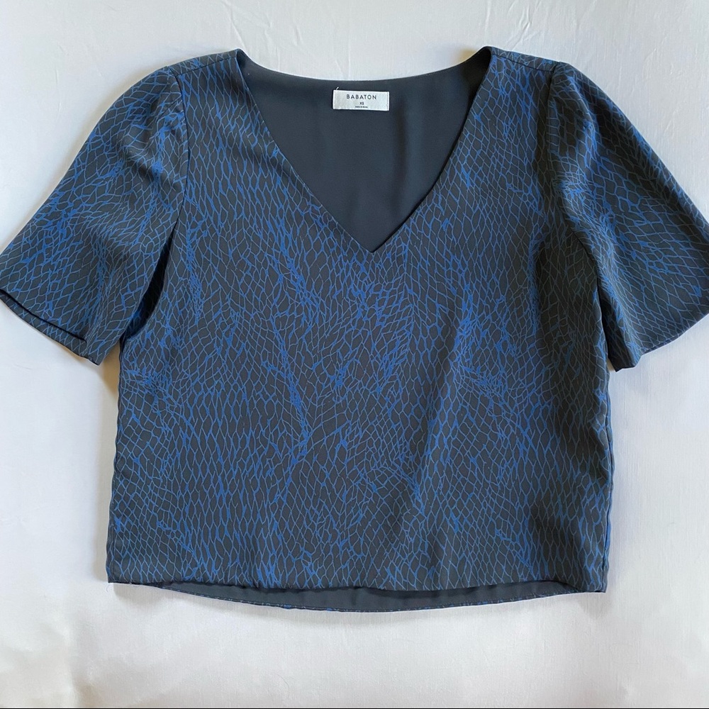 Aritzia Babaton Randy Blouse
